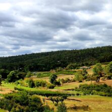 Perth Hills Wine Region