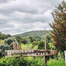 Brookside Vineyard