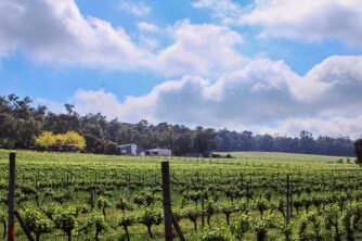 Hainault Winery & Cellar Door