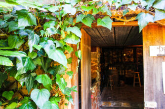 Visiting Ashley Estate