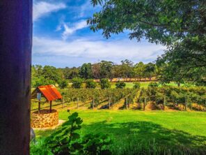 Fairbrossen Winery – Perth Hills